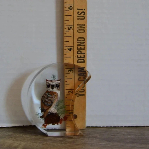 Vtg Lucite Encased Wood Owl Paperweight - Picture 6 of 6